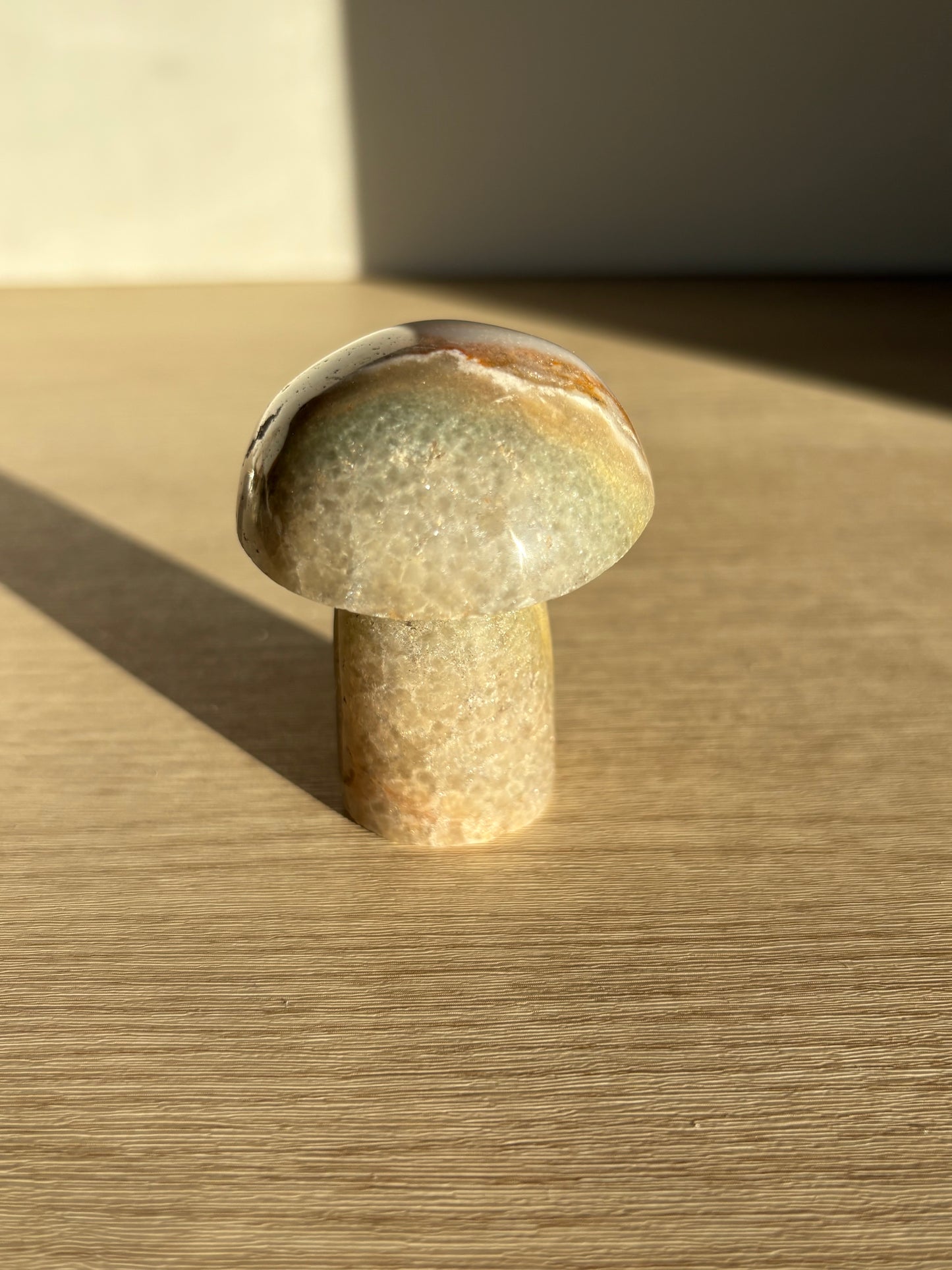 Ocean Jasper Mushroom 004
