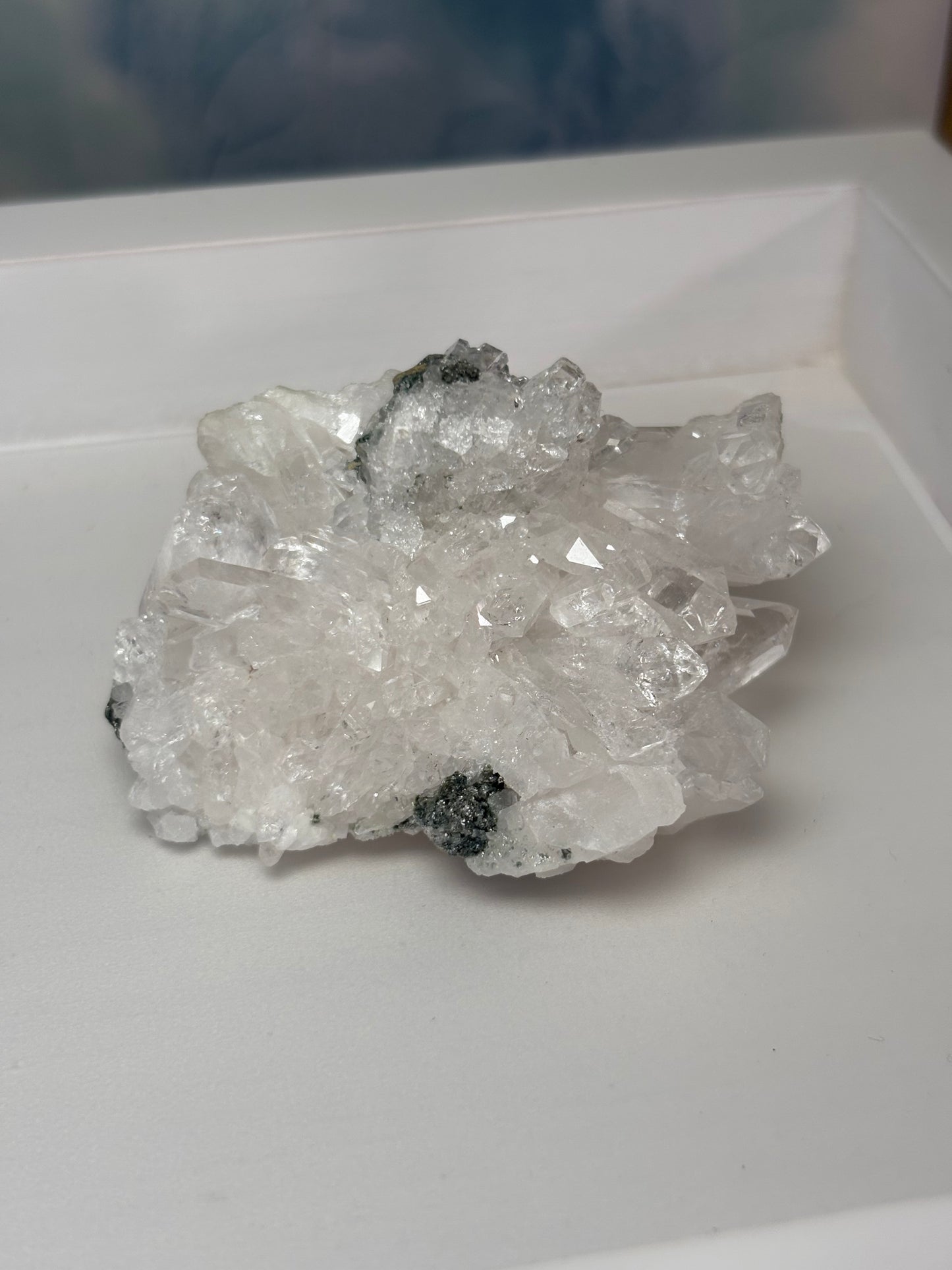 Colombian Quartz + Chlorite 012