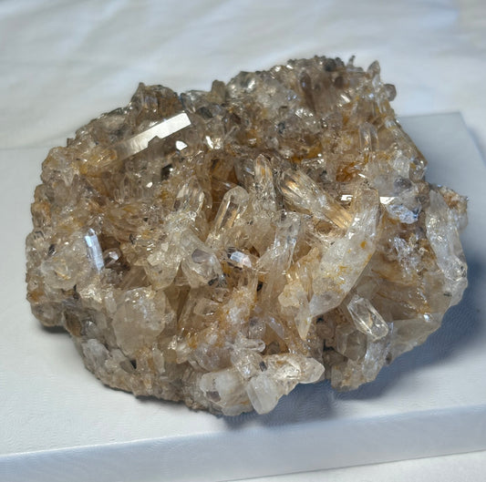 Golden Healer Colombian Quartz 015