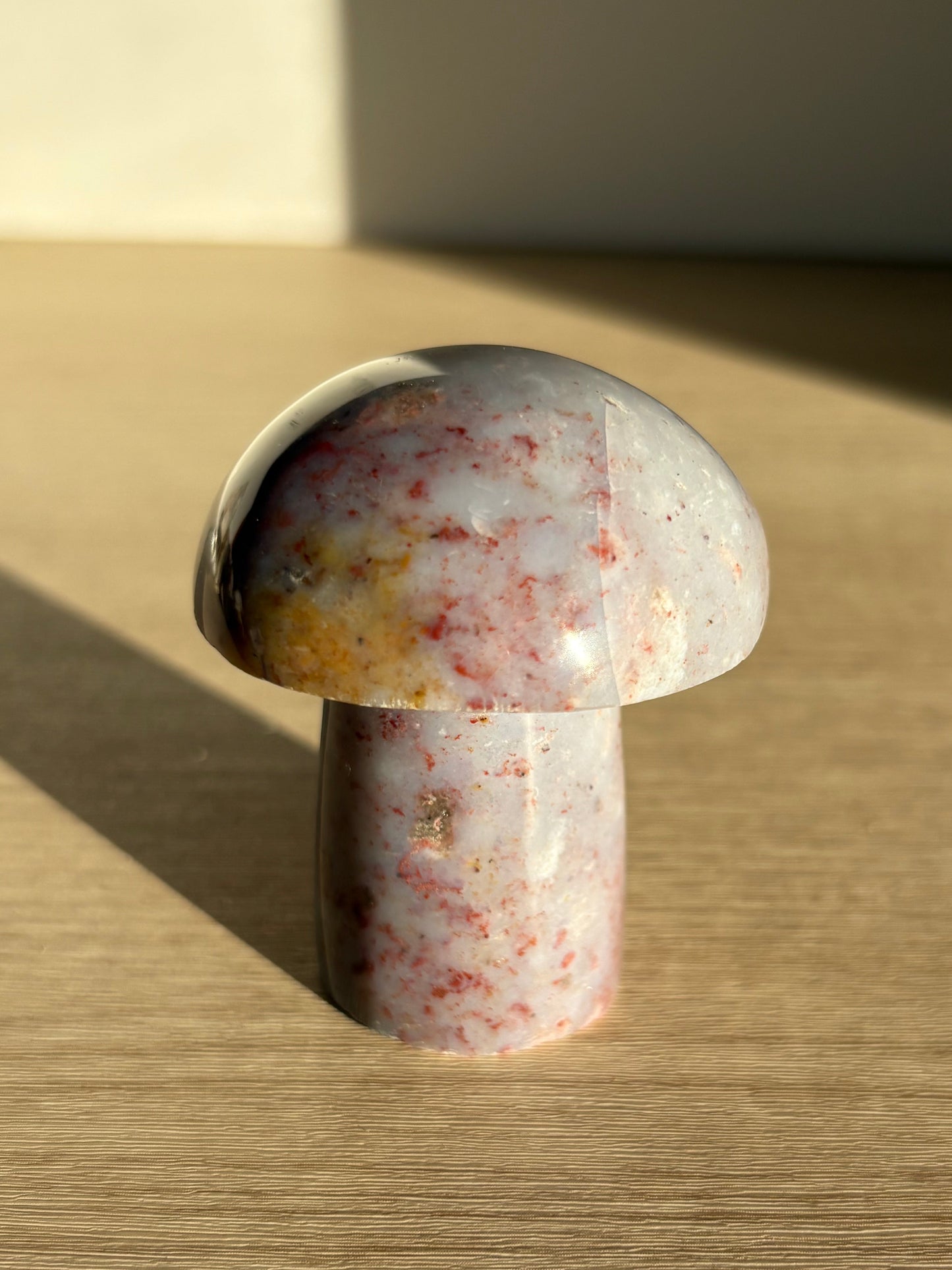 Ocean Jasper Mushroom 002