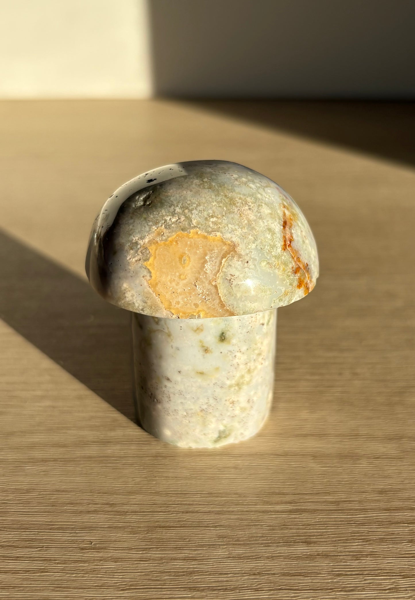 Ocean Jasper Mushroom 003