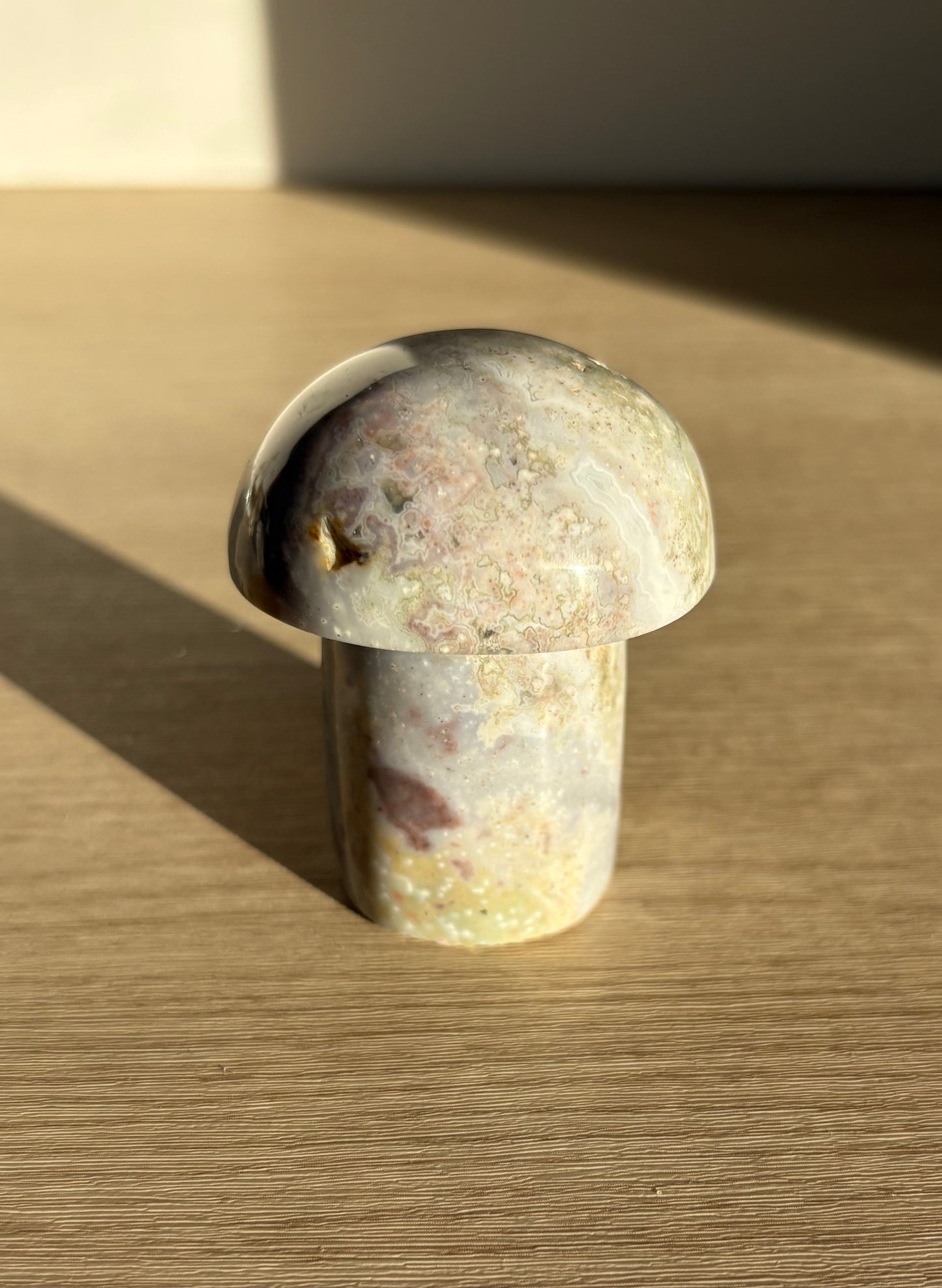 Ocean Jasper Mushroom 003