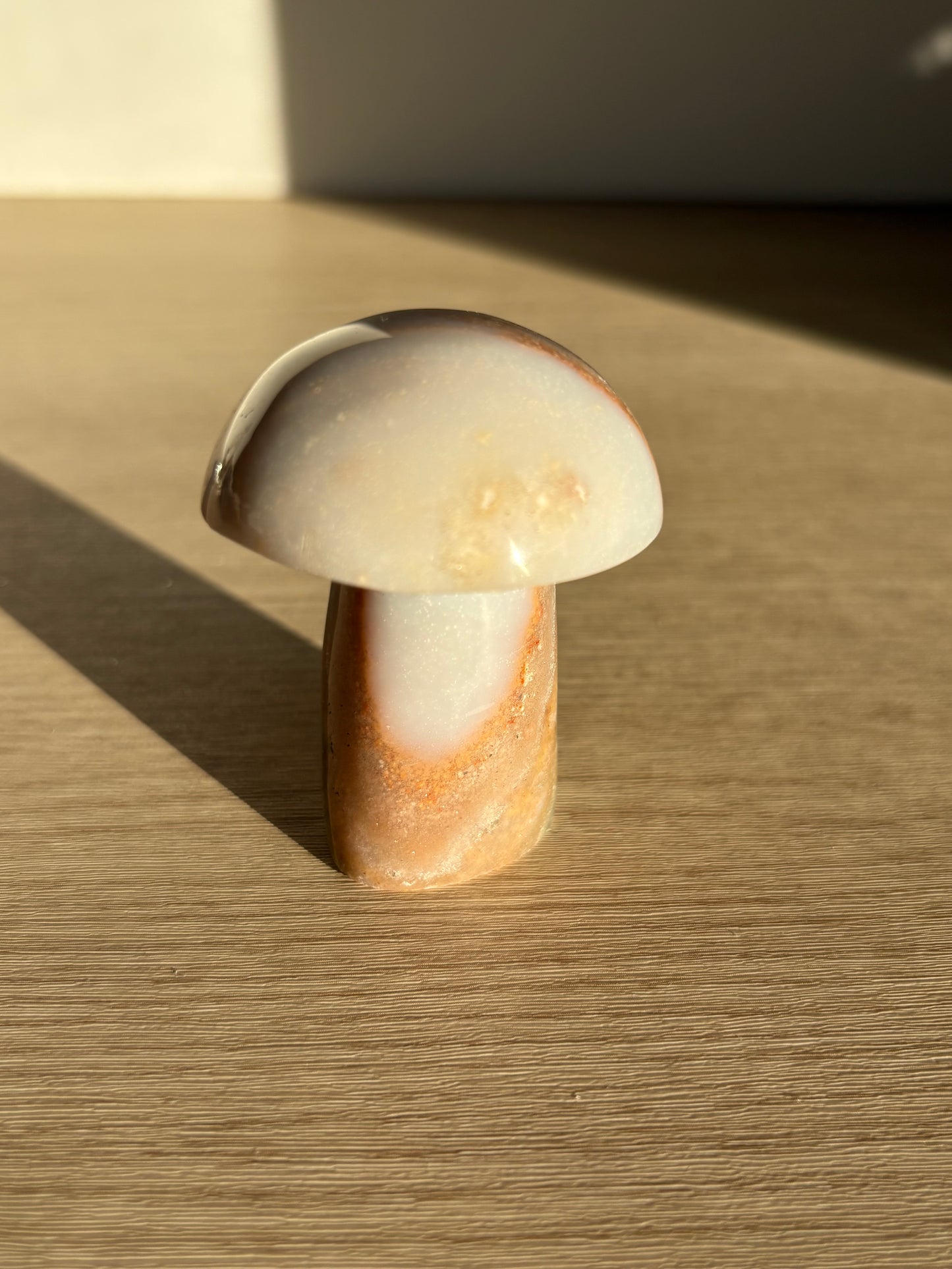 Ocean Jasper Mushroom 004
